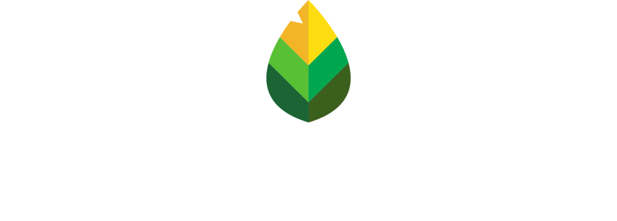 Adapt-action